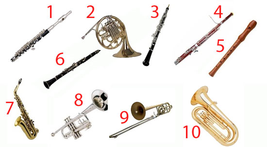 Gli strumenti musicali aerofoni