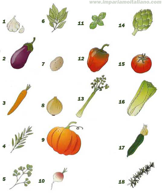 Vocabolario illustrato. La verdura